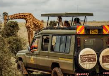 [SKCS01] Kenya, the complete safari
